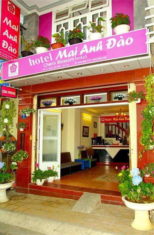 Mai Anh Dao Hotel Da Lat Exterior foto